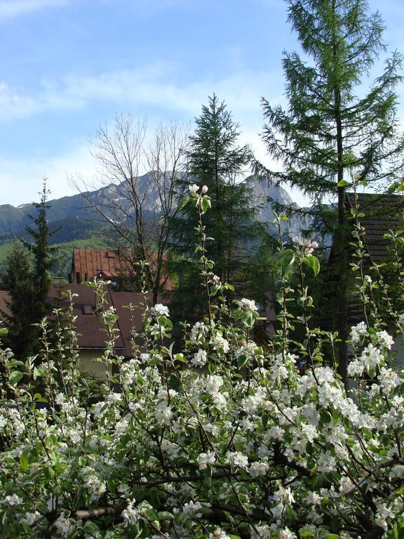 Holiday Home Patchwork Barn Zakopane Exterior photo